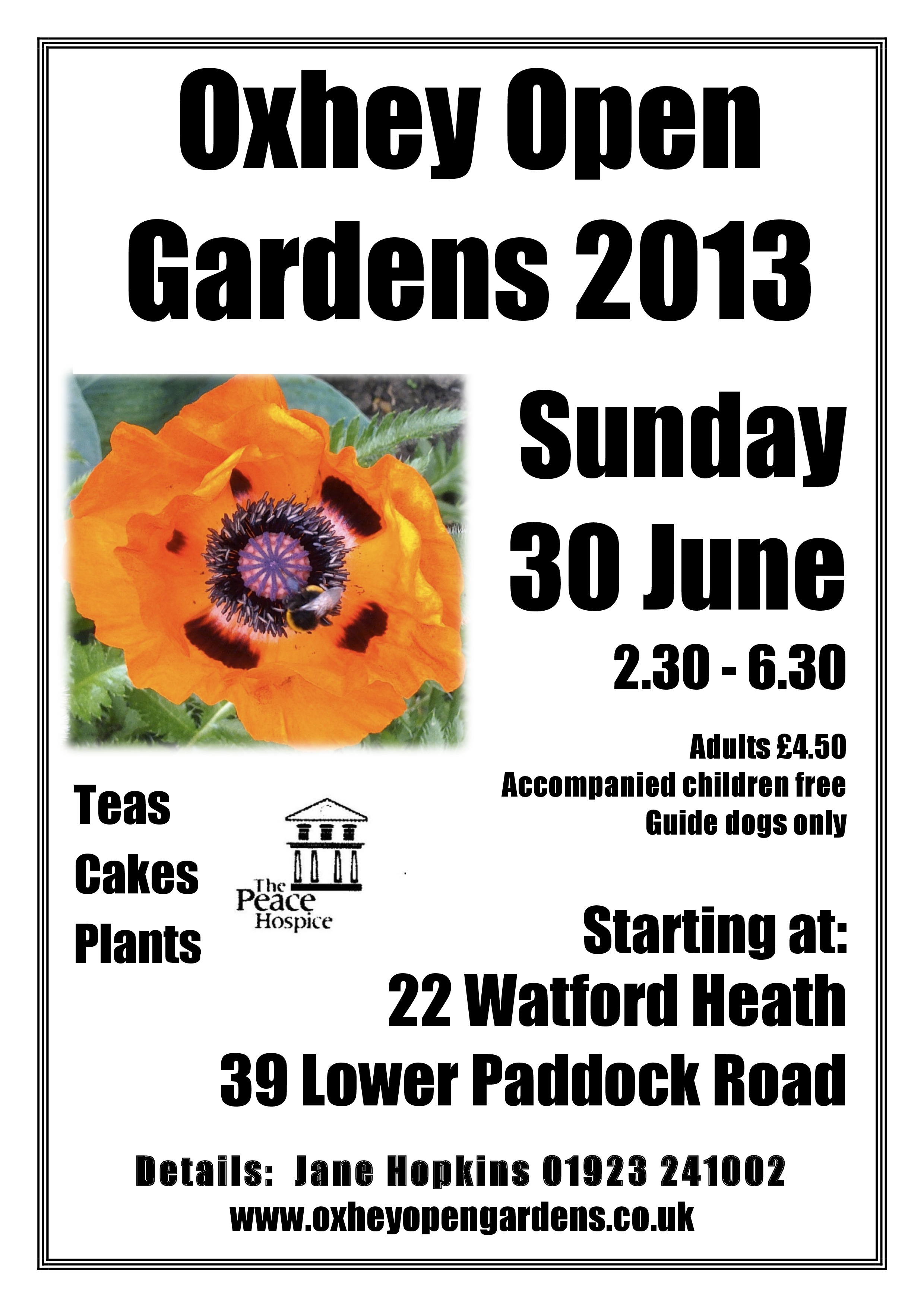 OOG 2013 poster-page-0