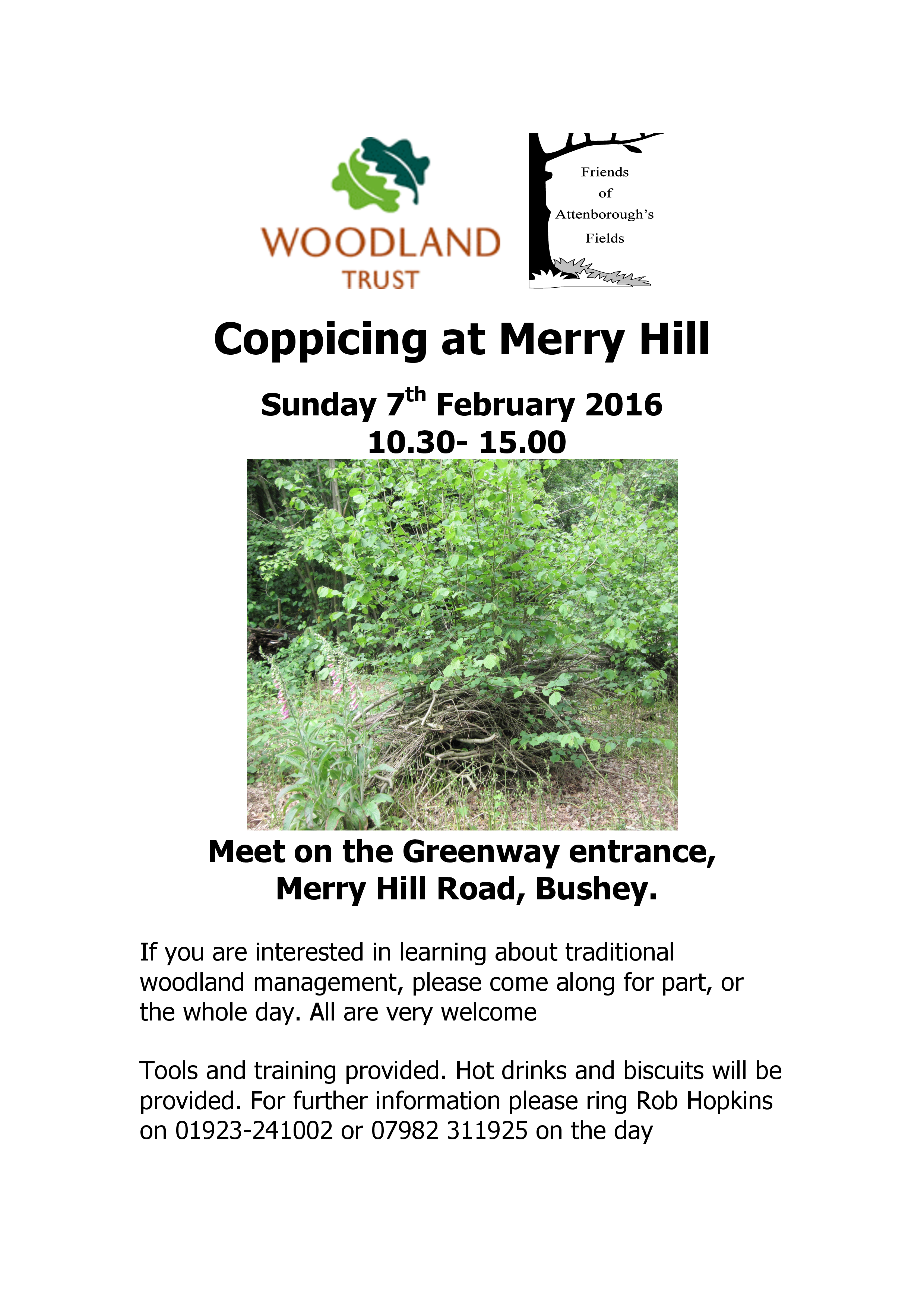 coppicing.png
