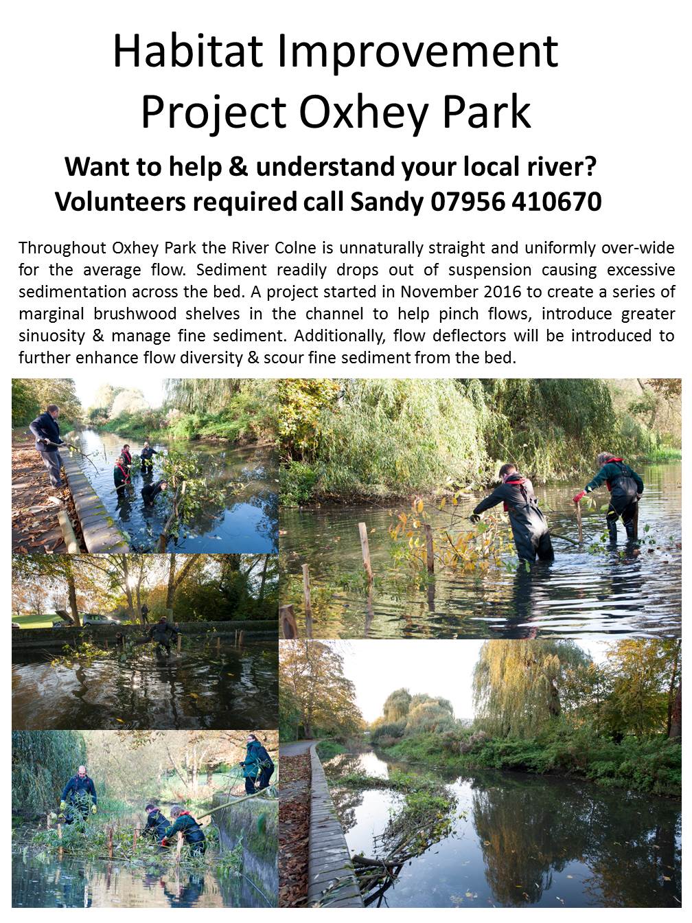 River Colne Habitat Improvement Project Oxhey Park2.jpg