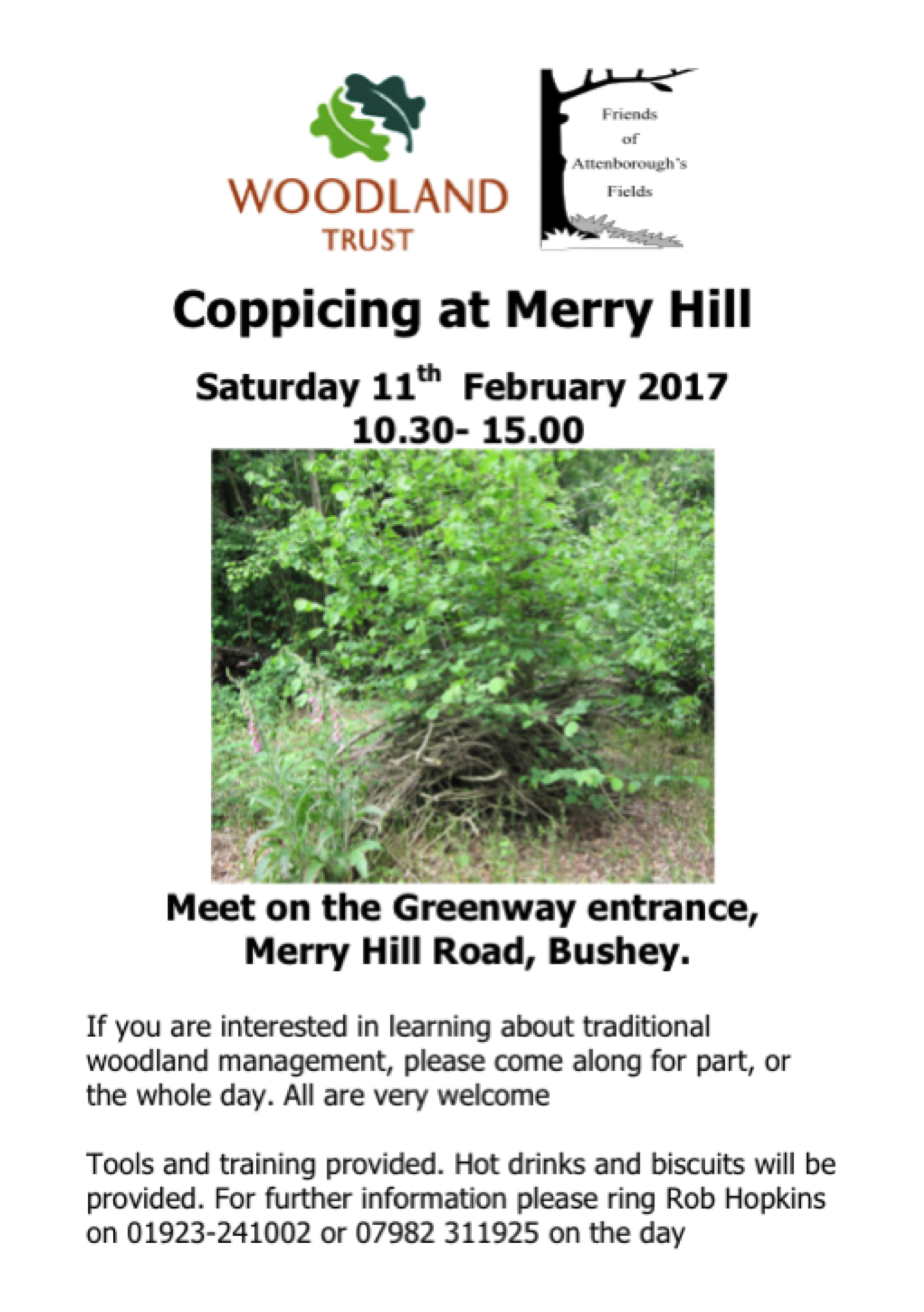 Coppicing.jpeg