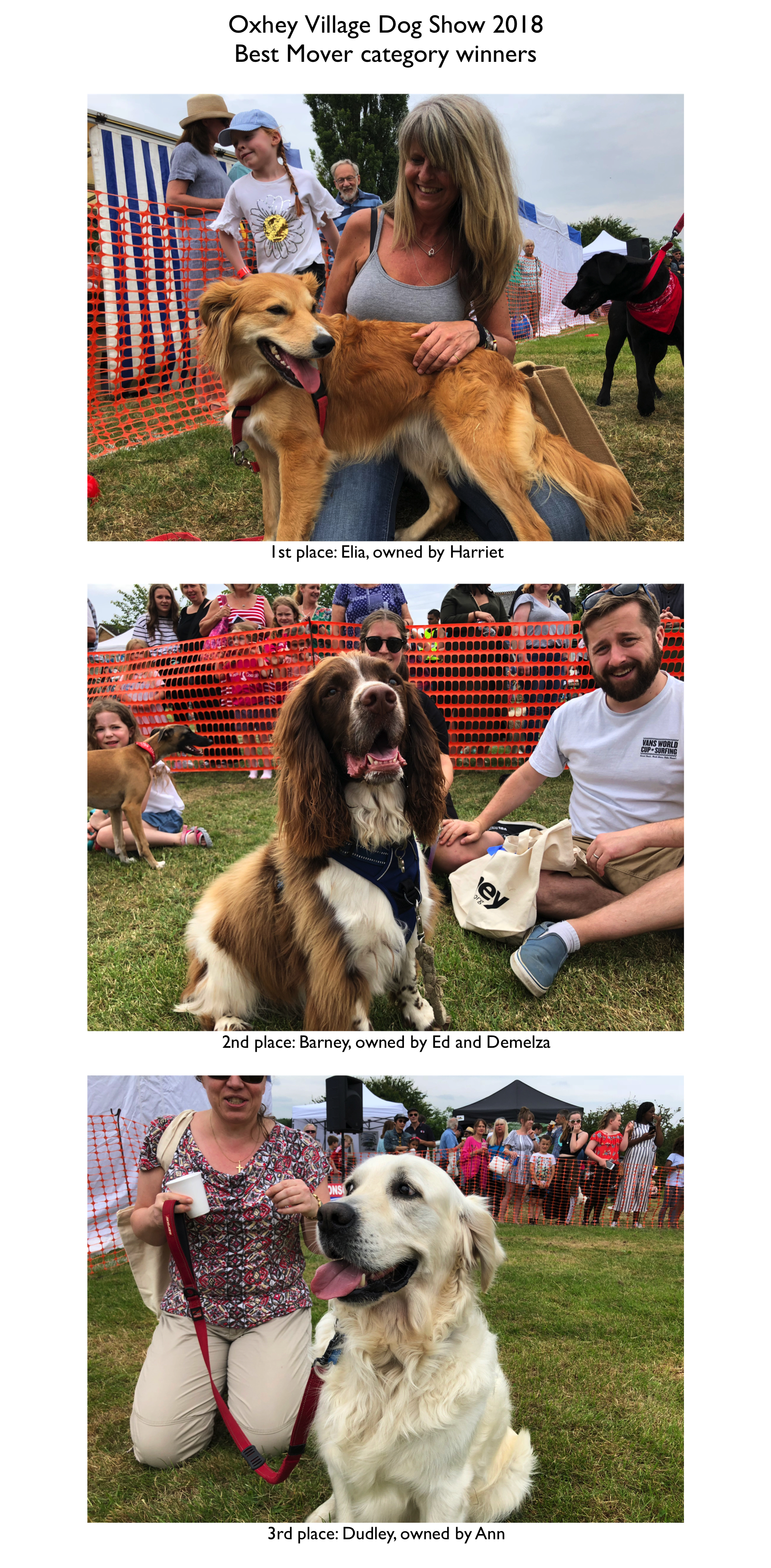 Dogs 2018 Mover.jpeg