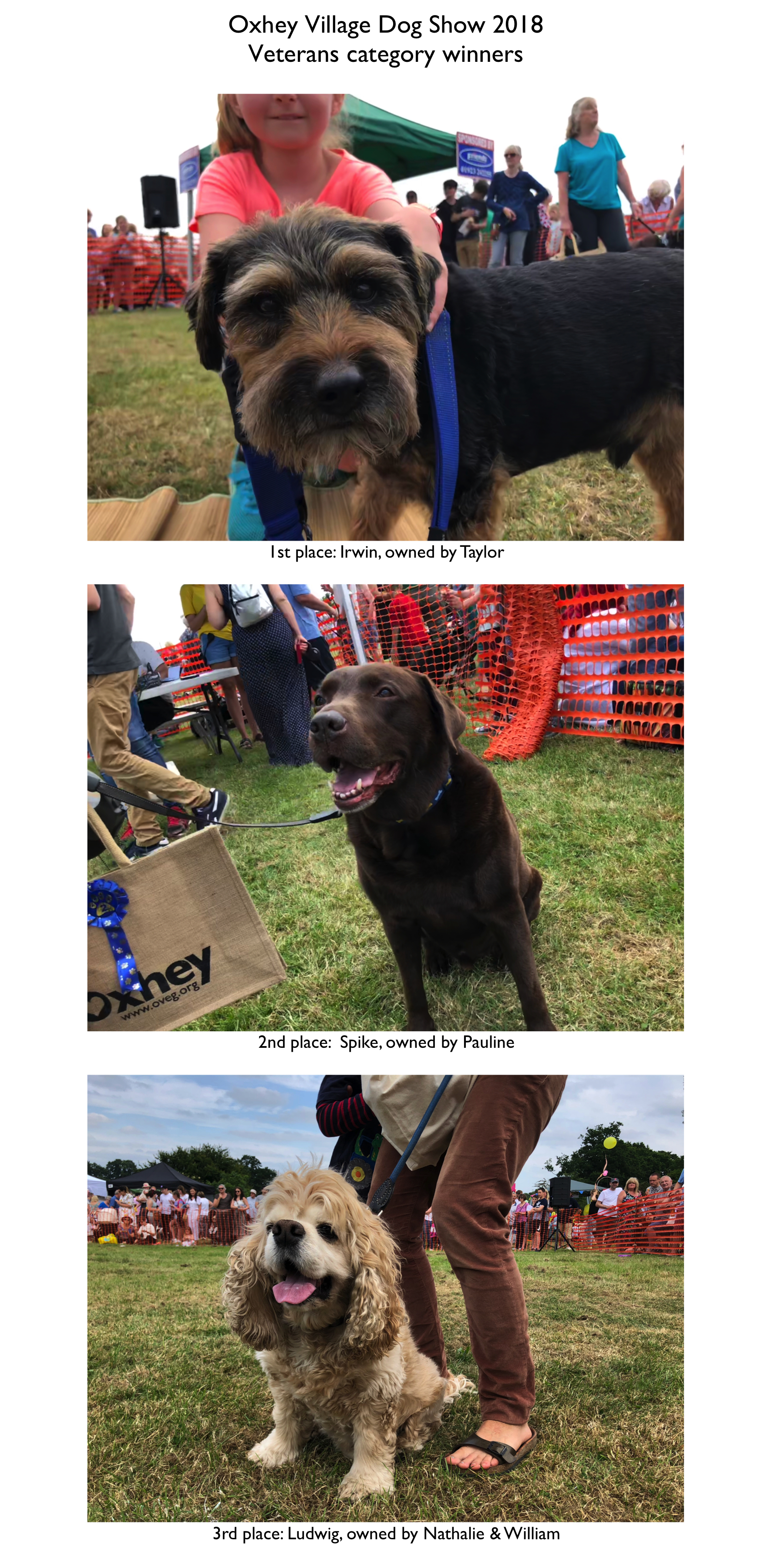 Dogs 2018 Veterans.jpeg