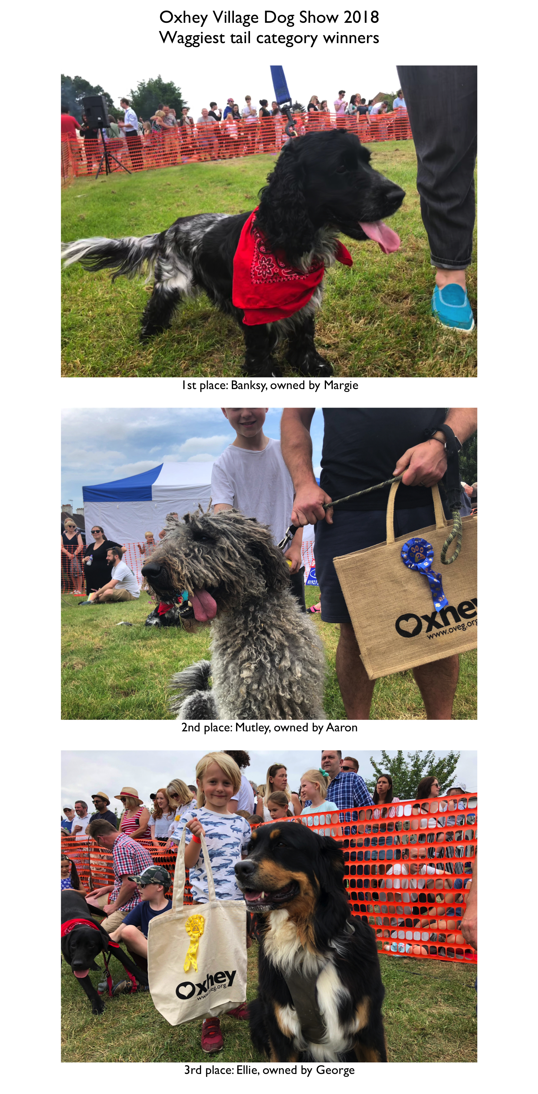 Dogs 2018 Waggiest.jpeg