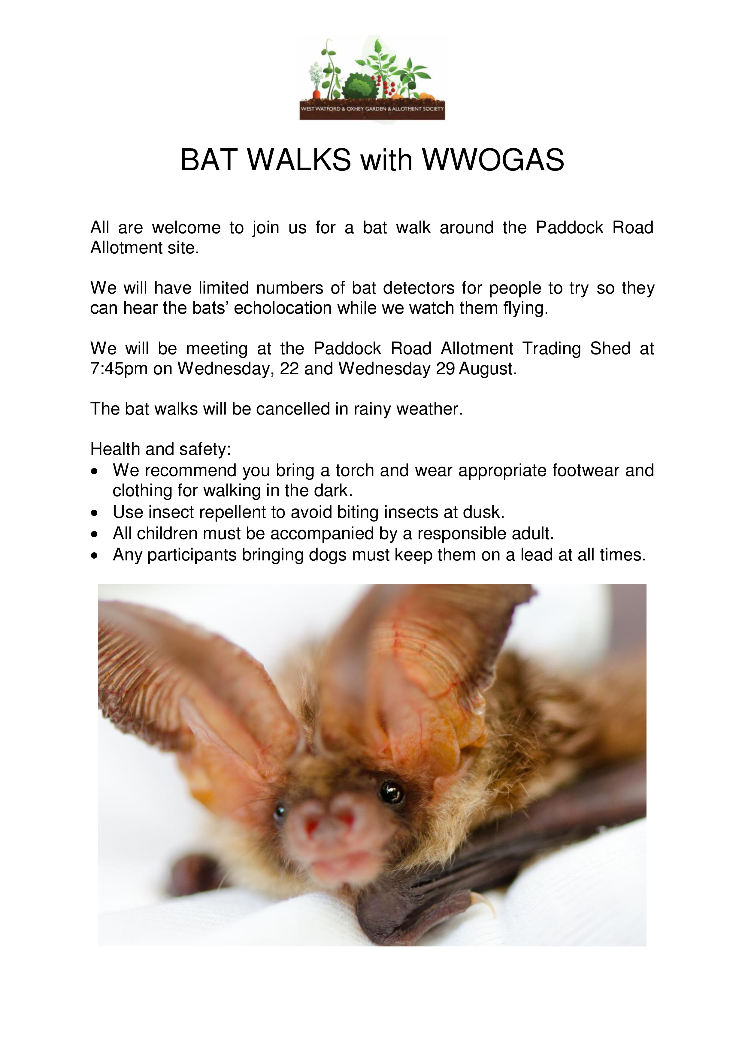 WWOGAS Bat Walk Info Sheet.png